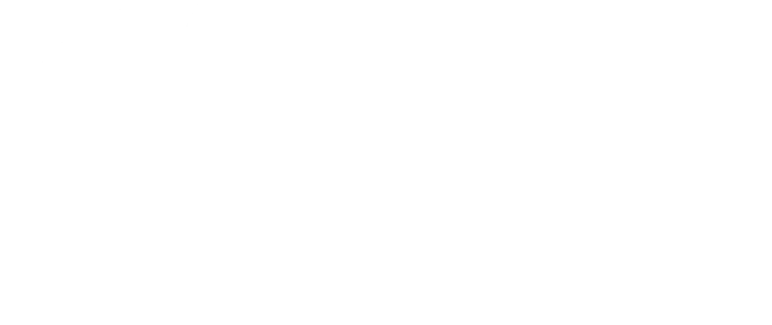 LOGO SNA Light